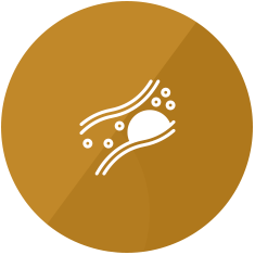 Dislipedemia