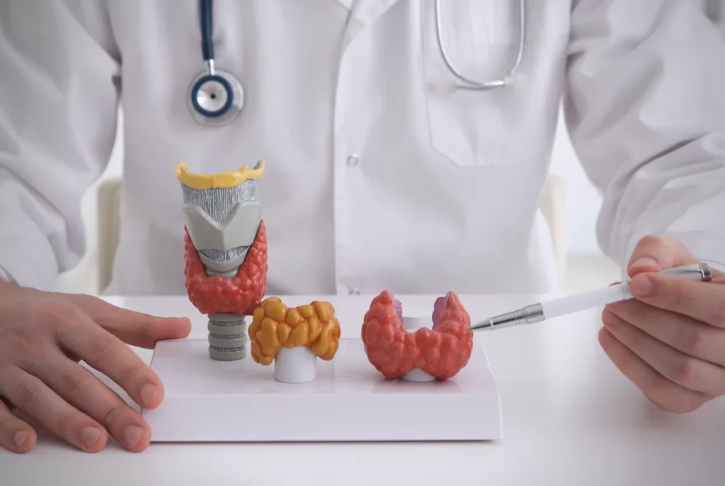 Endocrinologista o que faz e quando devo procurar?
